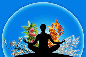 пс здор заставка