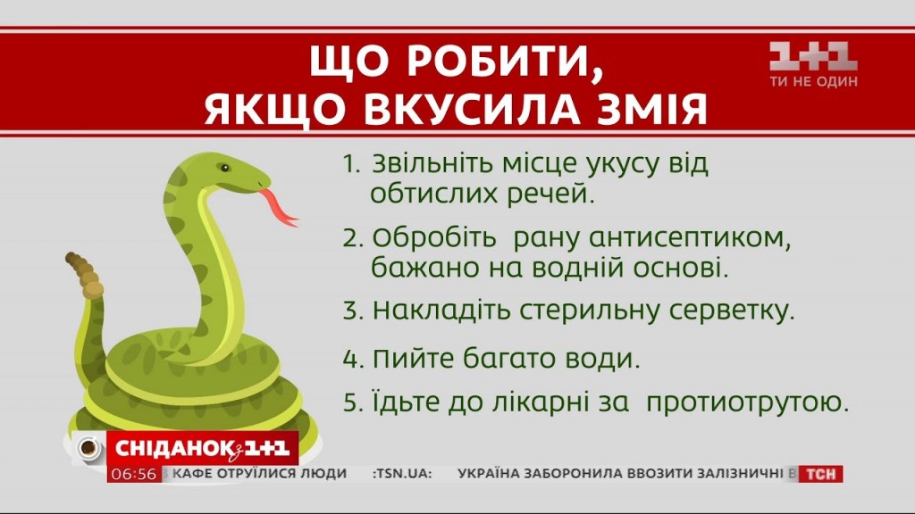 змія