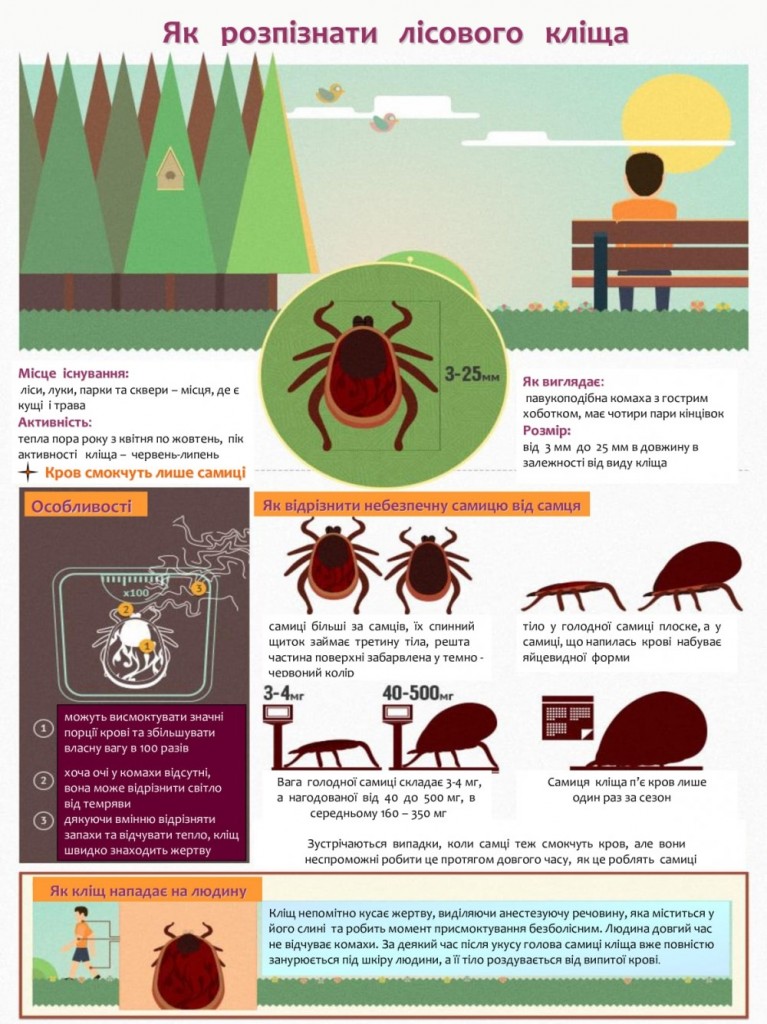 кліщ2