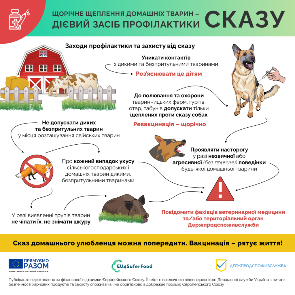 сказ2