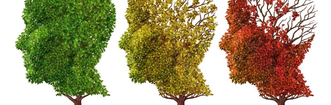 1 вересня Мусієнко