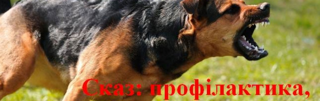 Галушка Сказ